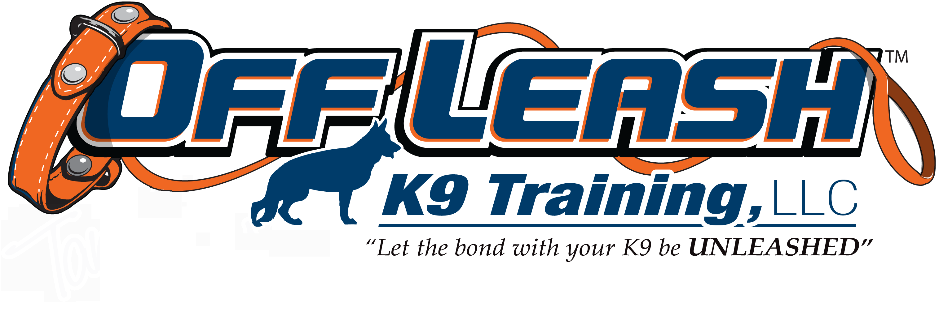 Hartford CT Offleash K9 Dog Training
